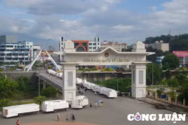 Lào Cai: Công khai danh tính 40 doanh nghiệp nợ thuế, nợ phạt hơn 550 tỷ đồng