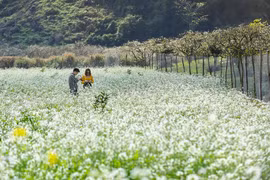 Các tour du lịch ngắn ngày phù hợp cho dịp nghỉ lễ 2/9