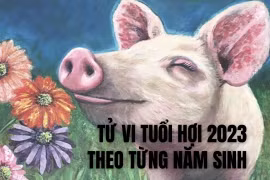 Tử vi 2023 tuổi Hợi theo từng năm sinh
