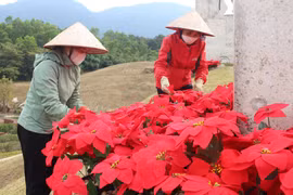 Nhiều hoạt động hấp dẫn tại Lễ hội xuân Tây Yên Tử năm 2023