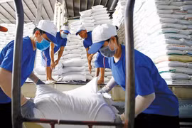 Xu thế hạn chế xuất khẩu lương thực - cơ hội cho DN ngành lương thực Việt Nam