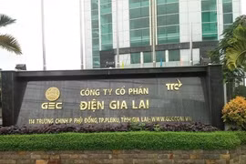 Áp lực trả lãi vay tăng tới 40 tỷ trong quý 1, Điện Gia Lai (GEG) mua trước hạn 30 tỷ trái phiếu