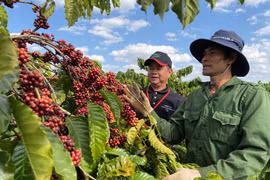Nhiều cơ hội thúc đẩy xuất khẩu trong nông sản chủ lực