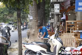 Vỉa hè đường Đê La Thành (Hà Nội) bị chiếm dụng, thành những 'công xưởng' gỗ