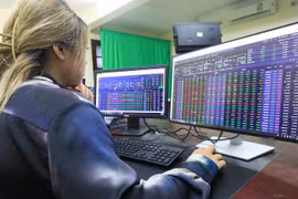 Nhà đầu tư mất 81.000 tỷ đồng, VN-Index được dự báo tiếp tục giảm sốc