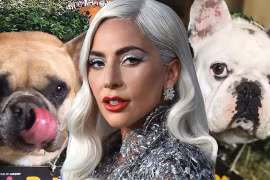 Lady Gaga bị đồng phạm của kẻ trộm chó... kiện vì không trả tiền treo thưởng