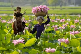Long An nỗ lực khơi dậy tiềm năng du lịch nông thôn
