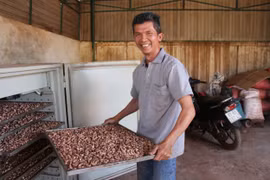 Chế biến thành phẩm hạt điều rang củi và trồng măng bát độ, lão nông thu về gần 1 tỷ đồng/năm