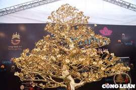 Hà Nội: Cây mai vàng 24k với giá bán gần 6 tỷ đồng tại gian hàng hoa Tết