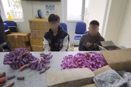 Tự chế pháo nổ bán trên mạng, hai đối tượng lĩnh 10 tháng tù