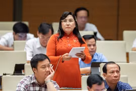 Nên giao cho Đoàn Đại biểu Quốc hội phối hợp với Thường trực Hội đồng Nhân dân giám sát chung chuyên đề