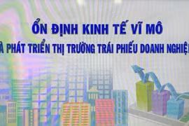 Tọa đàm "Ổn định kinh tế vĩ mô và phát triển thị trường trái phiếu doanh nghiệp"