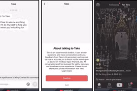 TikTok thử nghiệm chatbot 'Tako' tại Philippines, nhiều tính năng cần lưu ý