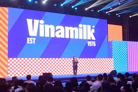 Phân tích dòng tiền từ hoạt động kinh doanh của Vinamilk