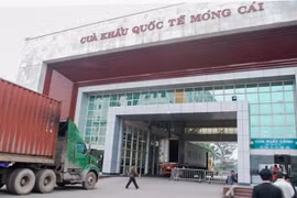 Cửa khẩu Quốc tế Móng Cái được khôi phục hoàn toàn từ hôm nay (21/2)