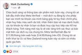 Hết thời bỏ trăm triệu đồng để làm tích xanh Facebook
