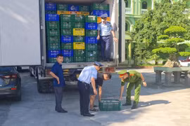 Nghệ An: Phát hiện 8 tấn gà đông lạnh không rõ nguồn gốc, đã bốc mùi hôi thối
