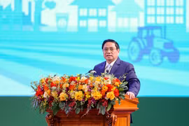 Chuyển từ tìm kiếm sang nghiên cứu thị trường để hướng tới "nông nghiệp đặt hàng"