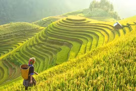 Báo Ấn Độ nói về 'thiên đường hạ giới' ở Việt Nam