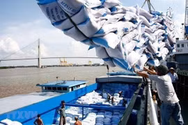 Giá gạo thế giới lao dốc, gạo Việt trụ vững ở đỉnh