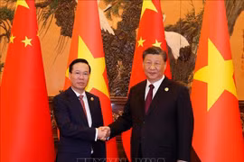 Chủ tịch nước Võ Văn Thưởng hội kiến Tổng Bí thư, Chủ tịch Trung Quốc Tập Cận Bình