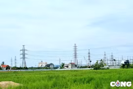 Hải Phòng đầu tư xây dựng trạm biến áp 500kV trị giá hơn 617,2 tỷ đồng