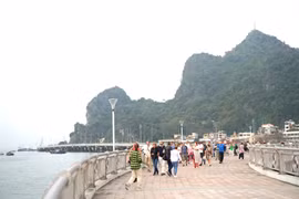 Quảng Ninh khơi thông thị trường khách du lịch quốc tế