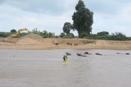Gia Lai: Hàng trăm hộ dân bất chấp tính mạng lội qua dòng nước dữ để mưu sinh
