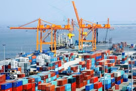 Doanh nghiệp xuất khẩu cần tuân thủ các quy định thị trường nhập khẩu