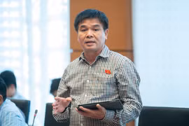 Trình tự, thủ tục đấu giá tài sản cần tính đến một số loại tài sản đặc thù