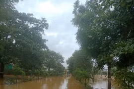 Mưa lũ ở miền Trung đã khiến 5 người chết, mất tích và hơn 12 nghìn ngôi nhà bị ngập