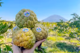 Tây Ninh gắn phát triển sản phẩm truyền thống với phát triển du lịch