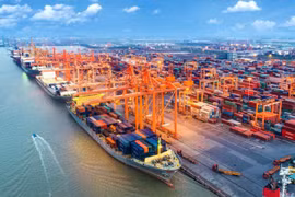 Cảng biển Việt Nam đón gần 60.000 lượt tàu qua 7 tháng của năm 2023
