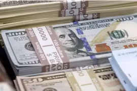 Tỷ giá tăng sốc, gần đạt 24.500 đồng/USD