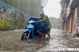 Trong tháng 7/2023, hàng loạt kỷ lục mưa lớn được thiết lập ở Nam Bộ