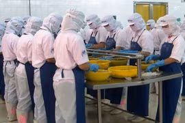 CTCP Đầu tư Thương mại Thuỷ sản (ICF) bị Uỷ ban Chứng khoán Nhà nước xử phạt 85 triệu đồng