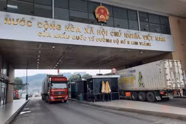 Lào Cai: Một doanh nghiệp nợ tiền cưỡng chế thuế gần 30 tỷ đồng bị cấm xuất nhập khẩu hàng hóa