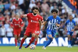 Salah lập cú đúp, Liverpool vẫn chia điểm trong tiếc nuối với Brighton