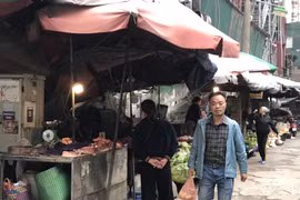 Nghệ An: Giá lợn hơi giảm do dịch tả lợn châu Phi, sức mua èo uột