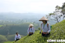 Phú Thọ giảm giá nhiều dịch vụ du lịch dịp cuối năm