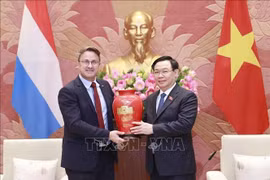 Chủ tịch Quốc hội Vương Đình Huệ hội kiến Thủ tướng Đại Công quốc Luxembourg