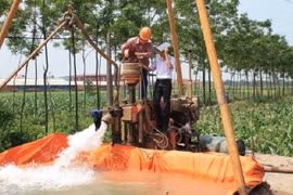 Tổ chức, cá nhân muốn được cấp giấy phép tài nguyên nước phải lấy ý kiến đại diện cộng đồng dân cư