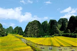 Ninh Bình khai thác tour du lịch trải nghiệm động Hoa Lư