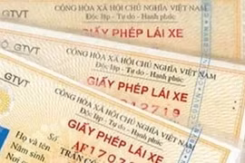 Nghệ An phát hiện 43 tài xế dùng giấy phép lái xe giả