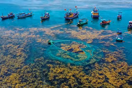 Những bãi biển độc đáo ở Bình Định
