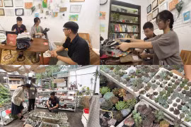 Đổi quần áo cũ lấy cây xanh – lan tỏa thông điệp bảo vệ môi trường