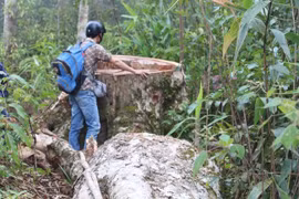 Rèn luyện kỹ năng, bảo vệ hoạt động tác nghiệp hợp pháp - Vấn đề quan trọng đối với mỗi nhà báo