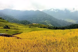 Du lịch Dần Thàng - Điểm đến tiềm năng của Lào Cai