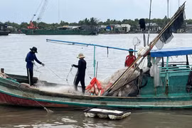 Những kết quả nổi bật trong phát triển kinh tế - xã hội quý I/2023