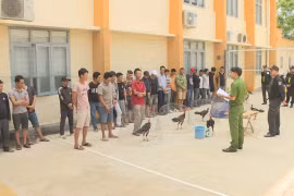 Công an tỉnh Đắk Lắk triệt phá trường đá gà quy mô lớn, tạm giữ 34 đối tượng